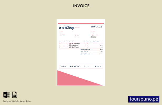 Plantilla de factura de Disney de EE. UU. lista para imprimir